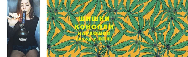 винт Богданович